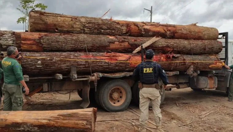 Imagem ilustrativa da notícia Vídeo: cerca de 497m³ de madeira são apreendidos em Anapu 