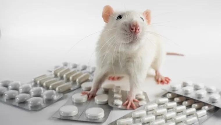 Imagem ilustrativa da notícia Chineses testam pílula da juventude com sucesso em ratos