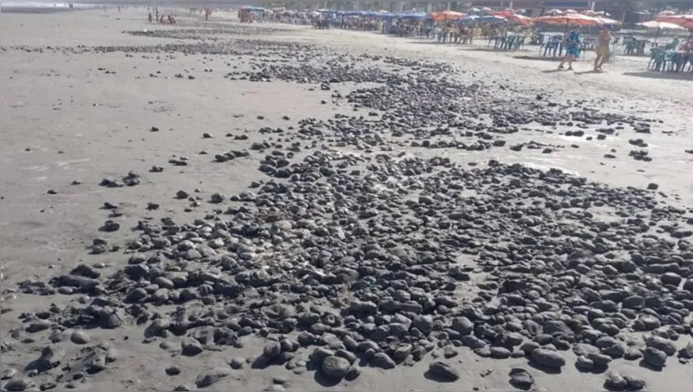 Imagem ilustrativa da notícia 'Bolas de lama' invadem praia e fenômeno assusta banhistas