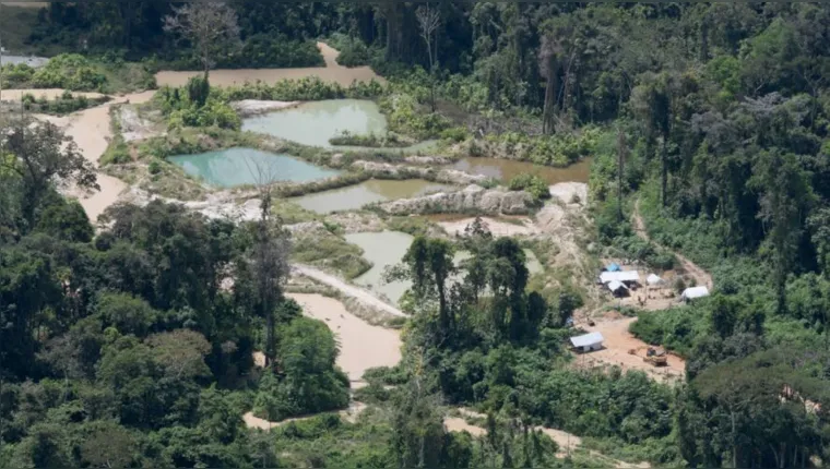 Imagem ilustrativa da notícia Contaminação: mercúrio é descoberto em garimpo na Amazônia