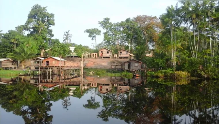 Imagem ilustrativa da notícia Floresta Nacional da Amazônia completa 60 anos