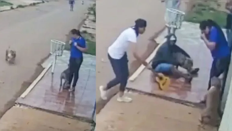 Imagem ilustrativa da notícia Vídeo: mulher tem membros dilacerados por cães em rua