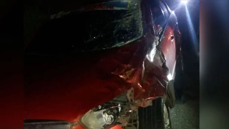 Imagem ilustrativa da notícia Taxista sofre acidente após colidir com animal em Salinas