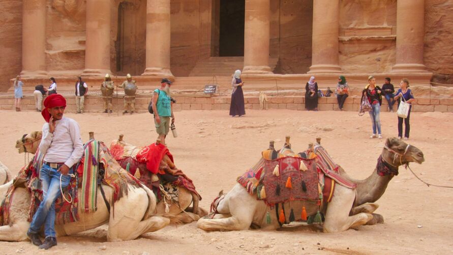 O transporte de turistas através de camelos será proibido no Oriente Médio