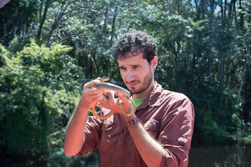 Pedro Peloso tem mais de 30 espécies de anfíbios e lagartos registradas e já publicou mais de 40 artigos em revistas científicas internacionais. 