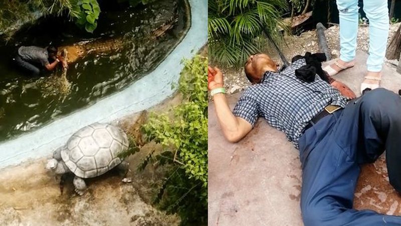 Imagem ilustrativa da notícia Vídeo: turista é atacado por jacaré após tentar fazer selfie
