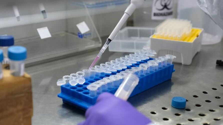Pandemia Laboratório faz testes de covid para identificar variantes
