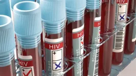 Imagem ilustrativa da notícia Mulher é terceira curada de HIV no mundo, dizem cientistas
