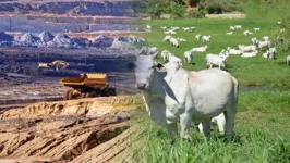 Fatores como a valorização das commodities, investimentos em infraestrutura e os bons resultados do agronegócio.