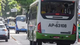 A audiência para discutir o transporte público gratuito na capital será marcada na Câmara Municipal