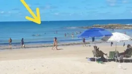 Vala na praia do Coqueirinho