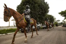Imagem ilustrativa da notícia Cavalaria reforça policiamento em Belém e no interior 
