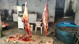 A situação do local era de higiene precária e a carne não apresentava condições de ser consumida por humanos