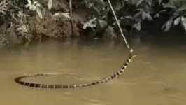 As cenas viralizaram nas redes sociais.