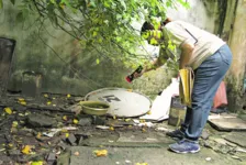 É importante limpar terrenos, com o recolhimento de resíduos que podem acumular água