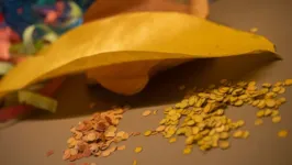 Uma dica é usar folhas secas