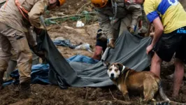 Os bombeiros entraram no terceiro dia de buscas, já que ainda há desaparecidos.