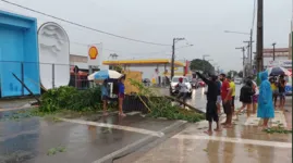 A manifestação é pacífica, alguns veículos conseguem passar. O DMTU e a Polícia Militar estão no local