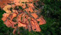Área impactada pelo garimpo na região do Apiaú na Terra Indígena Yanomami