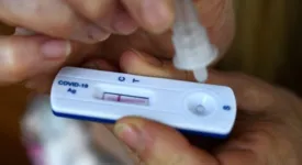 Imagem ilustrativa da notícia Anvisa pede mais dados e auto teste para covid-19 é adiado