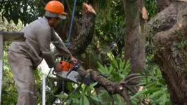 O trabalho só pode ser feito durante o dia em razão do desligamento da energia no local