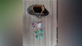 Imagem ilustrativa da notícia Vídeo: "Zé Vaqueiro" é preso com drogas escondidas no sapato