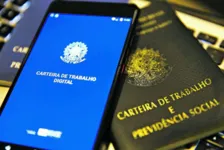 O mercado de trabalho deve absorver mais profissionais neste ano, de acordo com pesquisa feita junto a várias empresas do País