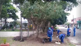 As detentas trabalharão na manutenção do paisagismo das praças, canteiros centrais e demais áreas verdes.