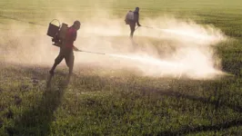 Segundo o MP, o agrotóxico foi pulverizado sem controle