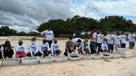 Os quelônios foram soltos com a participação de moradores, no município de Terra Santa, no Oeste do Pará.