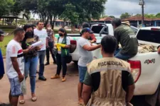 Imagem ilustrativa da notícia Famílias pobres recebem peixes apreendidos em Tucuruí