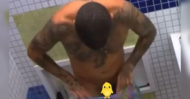 Imagem ilustrativa da notícia BBB 22: Scooby toma primeiro banho e mostra demais