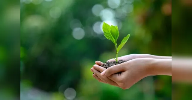 Imagem ilustrativa da notícia Defesa do meio ambiente é tema de programação em Belém 