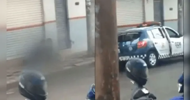 Imagem ilustrativa da notícia Vídeo: casal é detido durante sexo em via pública