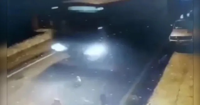 Imagem ilustrativa da notícia Vídeo: Motorista de ônibus atropela e mata 4 cachorros