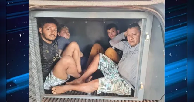 Imagem ilustrativa da notícia Vídeo: Quadrilha suspeita de assalto é presa no Marajó