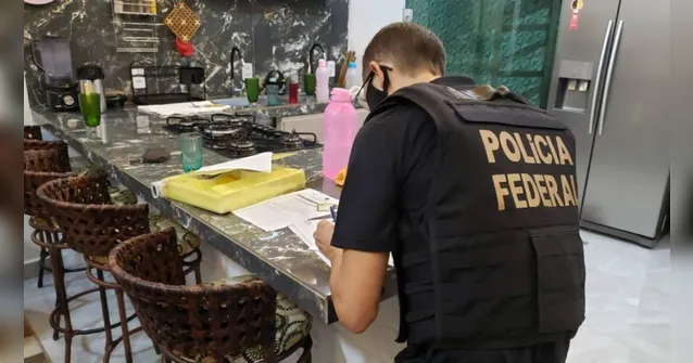 Imagem ilustrativa da notícia PF faz busca e apreensão contra crimes ambientais no Pará