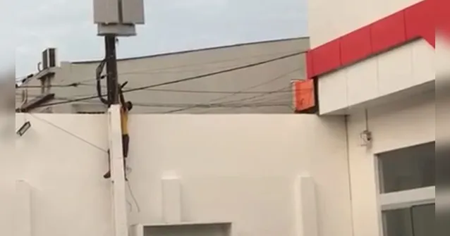 Imagem ilustrativa da notícia Vídeo: homem é flagrado furtando fios de energia em Belém