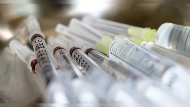 Imagem ilustrativa da notícia Vacina brasileira está em fase final de desenvolvimento