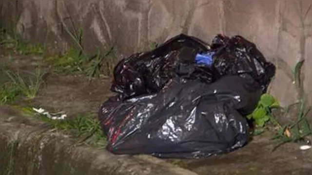Imagem ilustrativa da notícia Recém-nascida é achada morta em sacola de lixo em BH