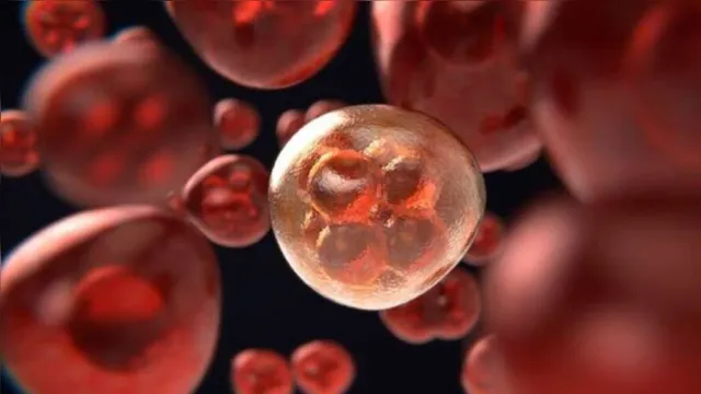 Imagem ilustrativa da notícia Droga para tratamento de câncer expulsa HIV das células