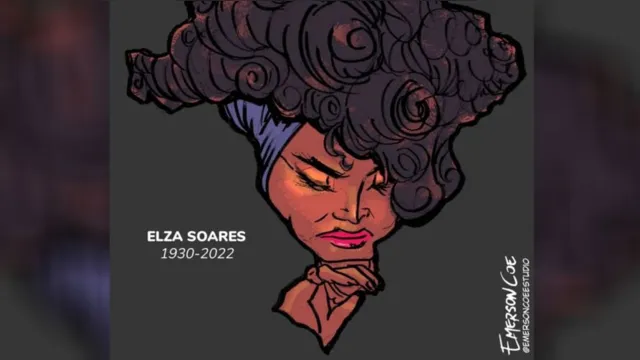 Imagem ilustrativa da notícia Perfil de Elza Soares agradece homenagem de artista do DOL
