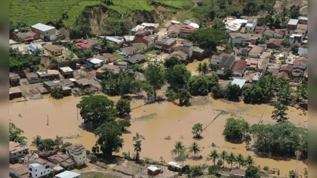 Imagem ilustrativa da notícia Voluntária faz relato emocionante sobre destruição na Bahia