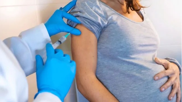 Imagem ilustrativa da notícia Grávida vacinada com Coronavac passa anticorpos ao bebê