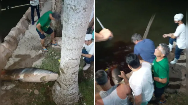 Imagem ilustrativa da notícia Moradores matam peixes no Lago Azul em Ananindeua