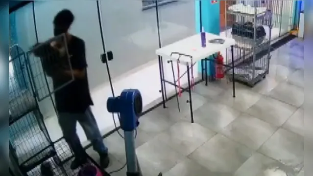 Imagem ilustrativa da notícia Vídeo: Funcionário de pet shop viraliza ao dançar com cadela