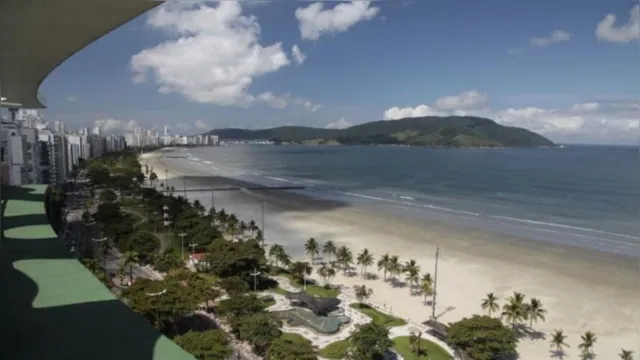 Imagem ilustrativa da notícia Lei libera que cachorros usem a praia em cidade paulista