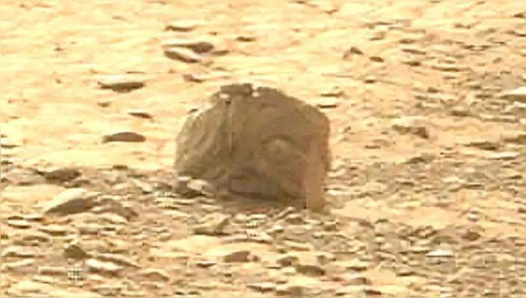 Imagem ilustrativa da notícia Rocha com “olho” e “boca dentuça” é encontrada em Marte