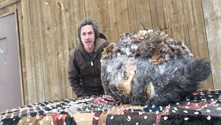 Imagem ilustrativa da notícia Vídeo: homem expõe cabeça do lendário Pé  Grande