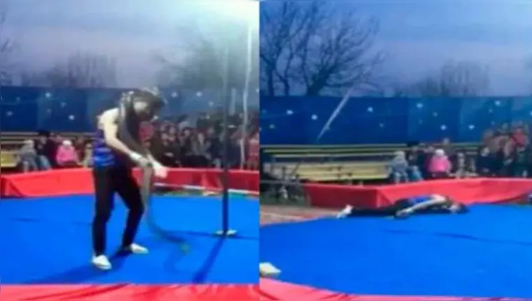 Imagem ilustrativa da notícia Vídeo: cobra mata homem durante apresentação em circo
